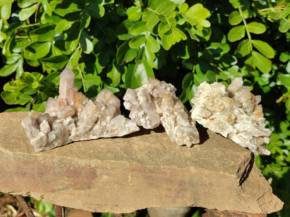 Natural Golden Limonite Coated Fairy Spirit Quartz Clusters x 6 From Boekenhouthoek, South Africa - Toprock Gemstones and Minerals 