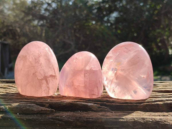 Polished Gemmy Star Rose Quartz Standing Free Forms x 4 Madagascar