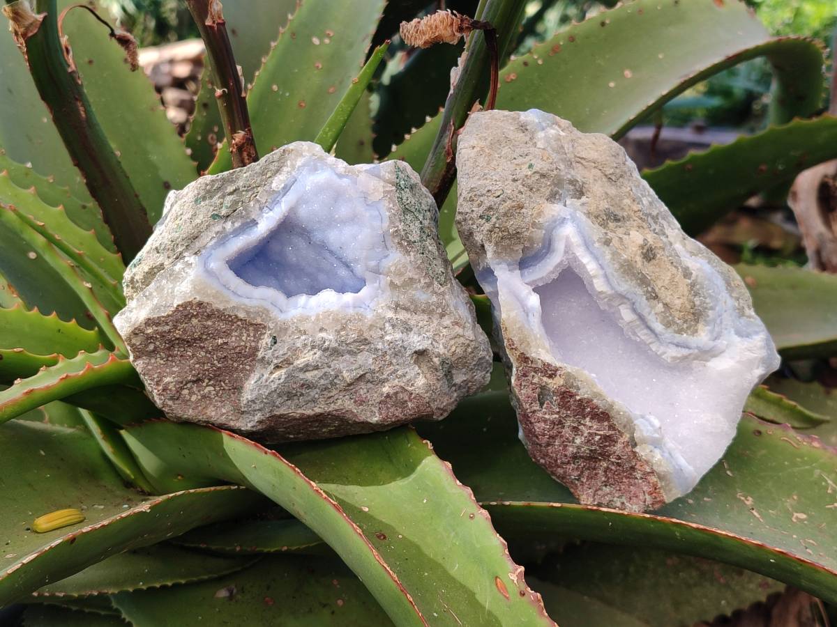 Natural Blue Lace Agate Geode Specimens x 4 From Nsanje, Malawi - Toprock Gemstones and Minerals 