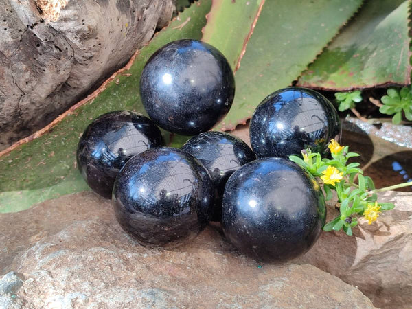 Polished Black Tourmaline Spheres x 6 From Madagascar