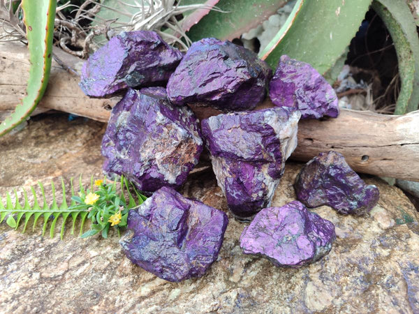 Natural Metallic Purpurite Cobbed Specimens x 8 From Erongo, Namibia