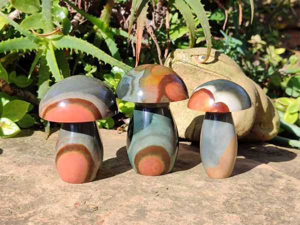 Polished Polychrome Jasper Mushrooms x 6 From Madagascar