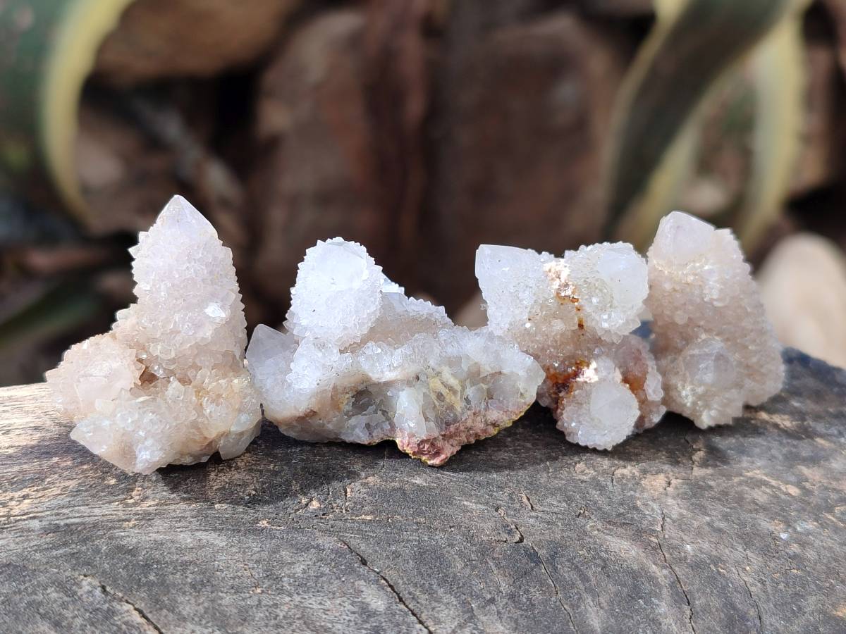 Natural Golden Limonite Coated Spirit Quartz Clusters x 70 From Boekenhouthoek, South Africa - Toprock Gemstones and Minerals 