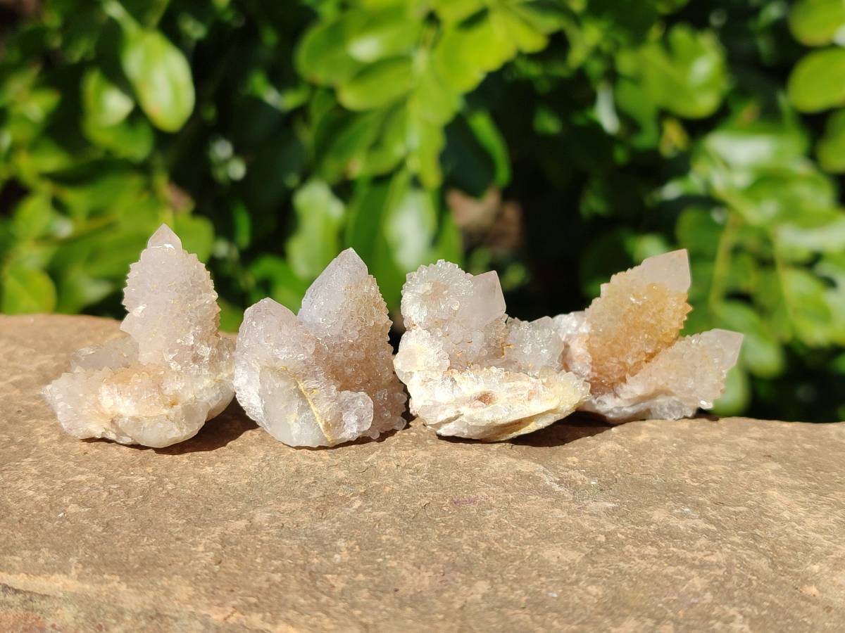 Natural Golden Limonite Coated Spirit Quartz Clusters x 70 From Boekenhouthoek, South Africa - Toprock Gemstones and Minerals 
