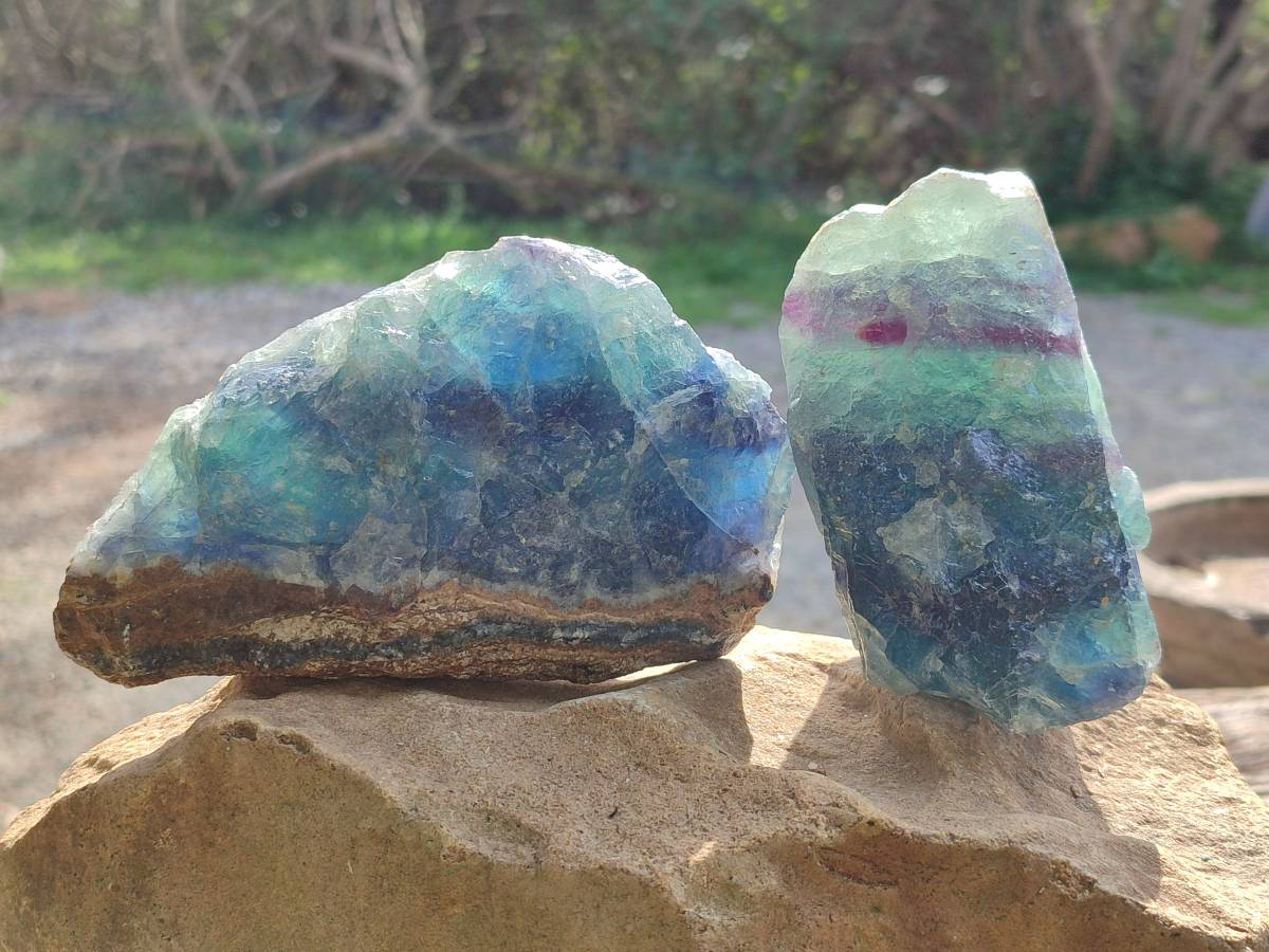 Natural Watermelon Fluorite Cobbed Specimens x 5 From Uis, Namibia - Toprock Gemstones and Minerals 