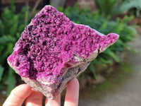 Natural Drusy Salrose on Dolomite Matrix Specimens x 3 From Kakanda, Congo - Toprock Gemstones and Minerals 