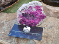Natural Drusy Salrose on Dolomite Matrix Specimens x 3 From Kakanda, Congo - Toprock Gemstones and Minerals 