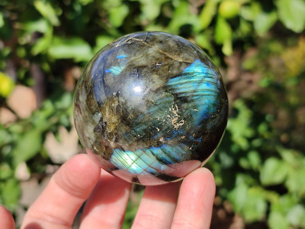 Polished Labradorite Spheres x 6 From Tulear, Madagascar