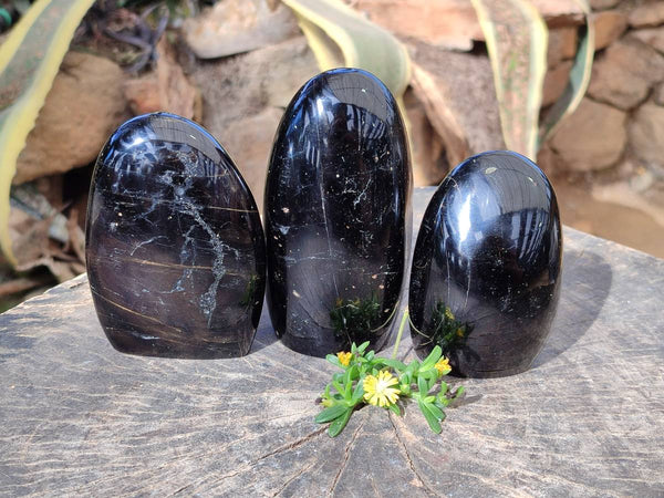 Polished Black Tourmaline Standing Free Form x 3 From Madagascar - Toprock Gemstones and Minerals 