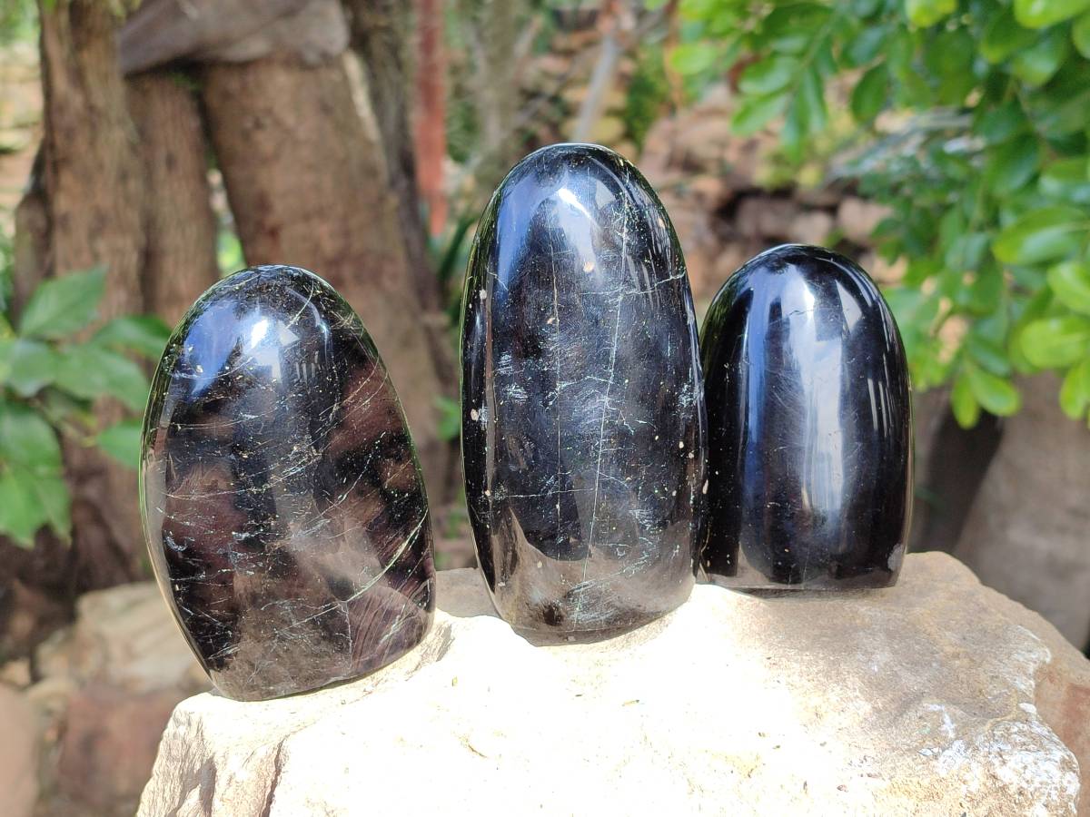 Polished Black Tourmaline Standing Free Form x 3 From Madagascar - Toprock Gemstones and Minerals 