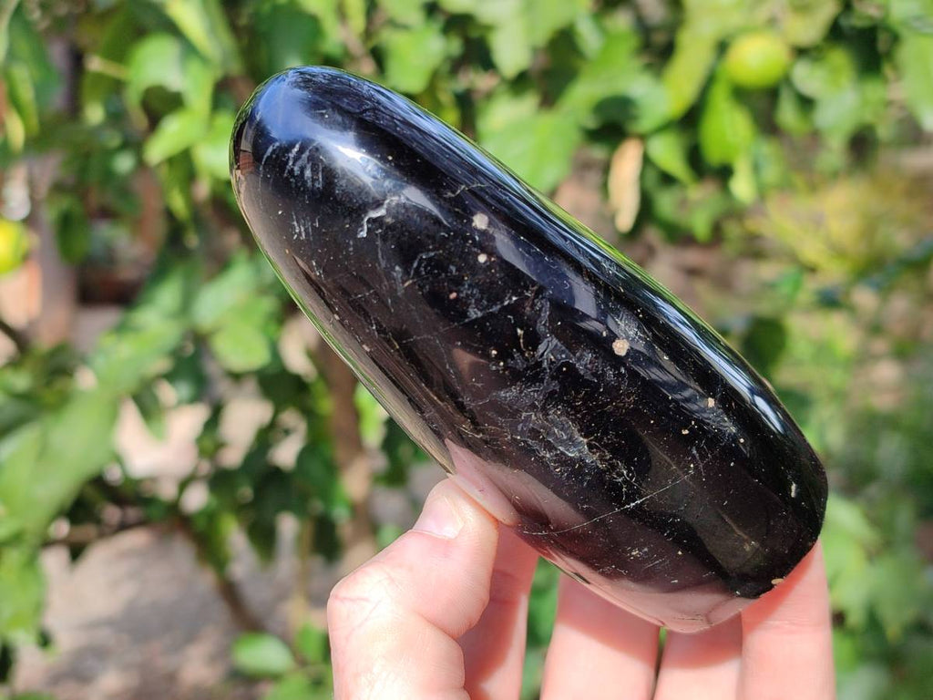 Polished Black Tourmaline Standing Free Form x 3 From Madagascar - Toprock Gemstones and Minerals 