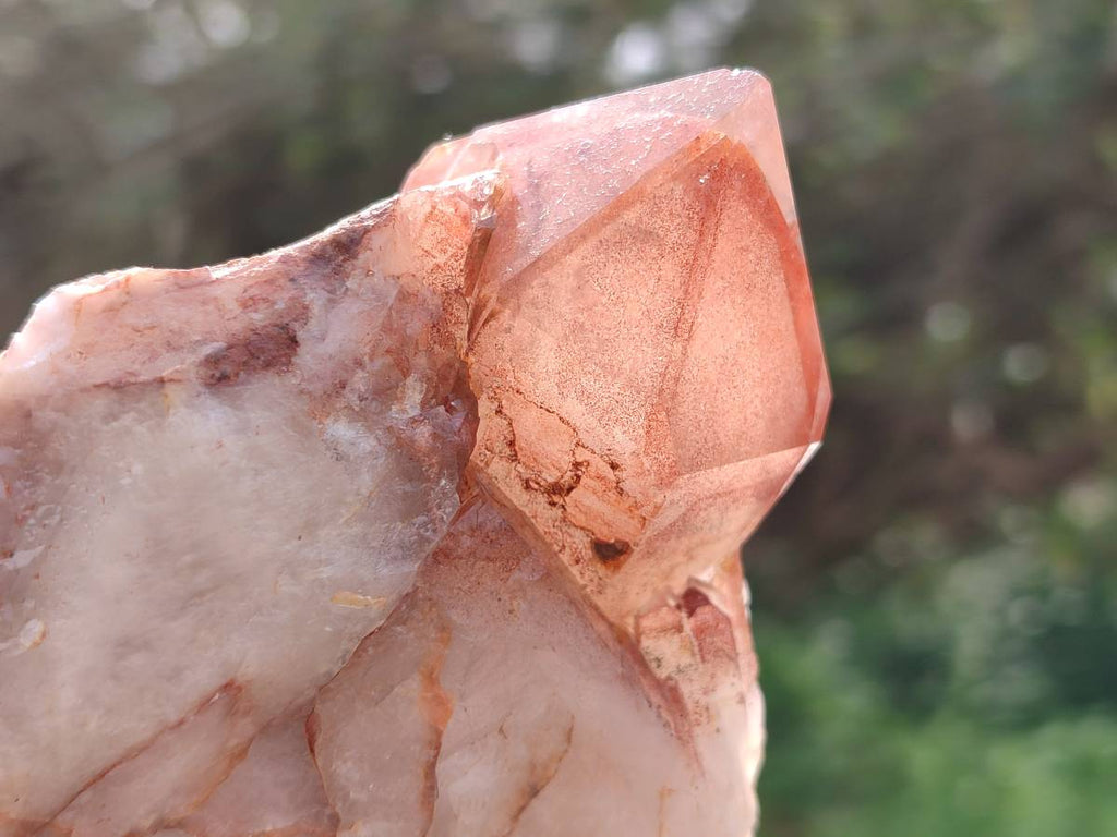 Natural Red Hematoid Quartz Clusters x 3 From Karoi, Zimbabwe - Toprock Gemstones and Minerals 