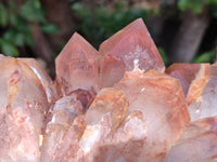 Natural Red Hematoid Quartz Clusters x 3 From Karoi, Zimbabwe