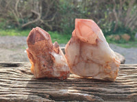 Natural Red Hematoid Quartz Clusters x 3 From Karoi, Zimbabwe