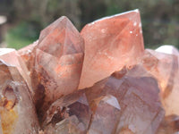 Natural Red Hematoid Quartz Clusters x 3 From Karoi, Zimbabwe