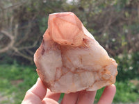 Natural Red Hematoid Quartz Clusters x 3 From Karoi, Zimbabwe