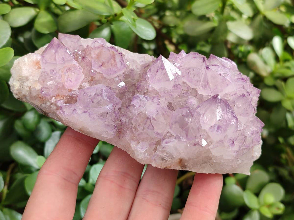 Natural Sunburst Amethyst Spirit Quartz Clusters x 4 From Boekenhouthoek, South Africa - Toprock Gemstones and Minerals 