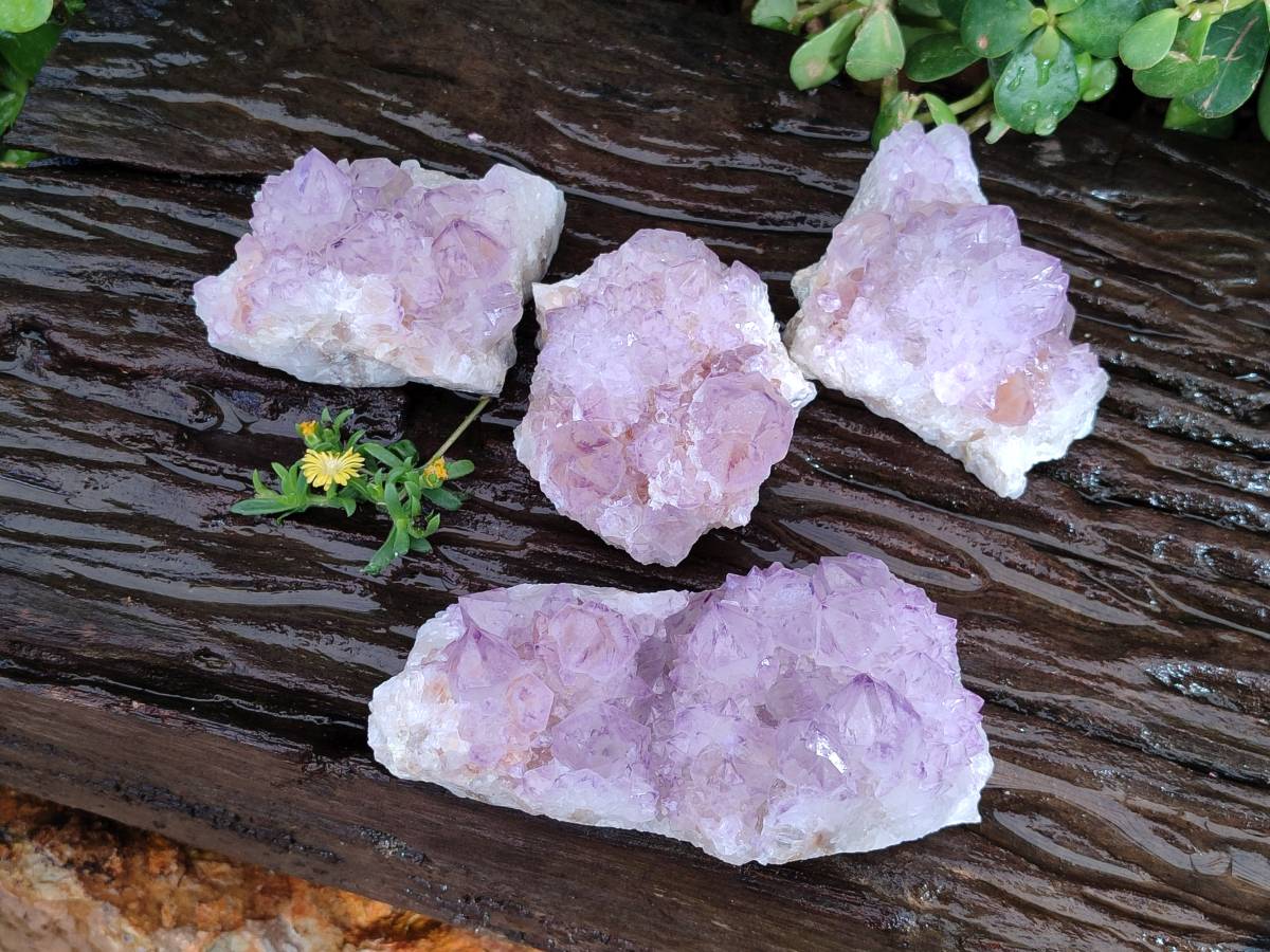 Natural Sunburst Amethyst Spirit Quartz Clusters x 4 From Boekenhouthoek, South Africa - Toprock Gemstones and Minerals 