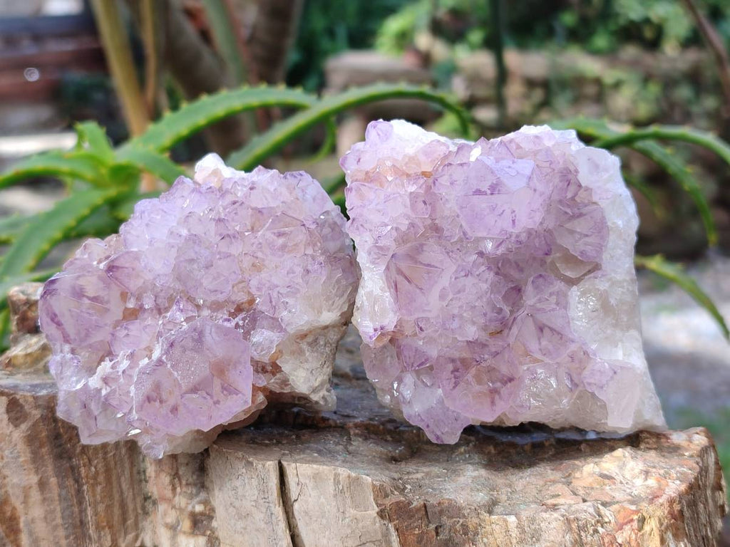 Natural Sunburst Amethyst Spirit Quartz Clusters x 4 From Boekenhouthoek, South Africa - Toprock Gemstones and Minerals 