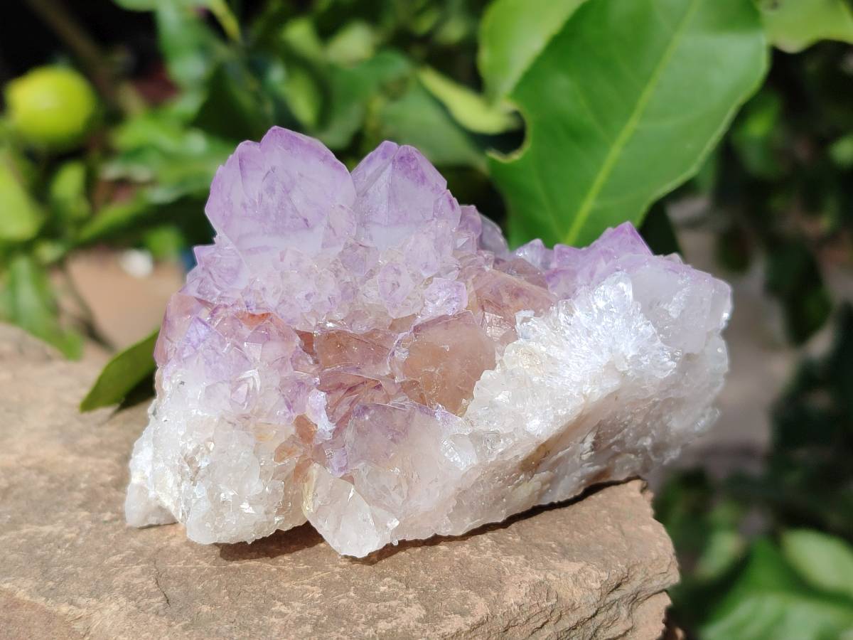 Natural Sunburst Amethyst Spirit Quartz Clusters x 4 From Boekenhouthoek, South Africa - Toprock Gemstones and Minerals 
