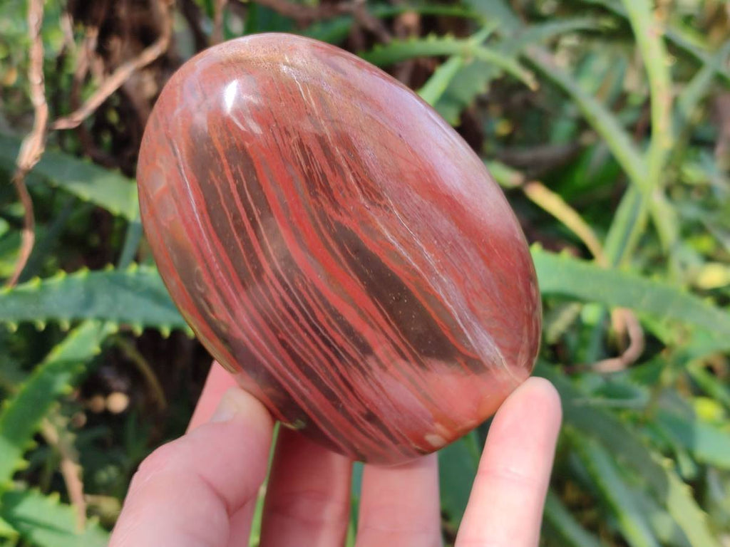 Polished Fossilized Podocarpus Petrified Wood Spheres and Standing Free forms x 4 From Mahajanga, Madagascar - Toprock Gemstones and Minerals 