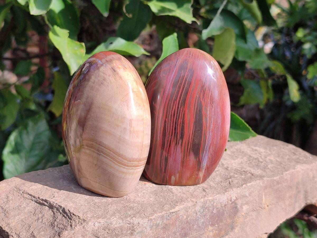 Polished Fossilized Podocarpus Petrified Wood Spheres and Standing Free forms x 4 From Mahajanga, Madagascar - Toprock Gemstones and Minerals 