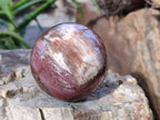 Polished Fossilized Podocarpus Petrified Wood Spheres and Standing Free forms x 4 From Mahajanga, Madagascar - Toprock Gemstones and Minerals 