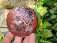 Polished Fossilized Podocarpus Petrified Wood Spheres and Standing Free forms x 4 From Mahajanga, Madagascar - Toprock Gemstones and Minerals 