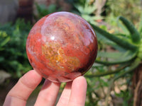 Polished Fossilized Podocarpus Petrified Wood Spheres and Standing Free forms x 4 From Mahajanga, Madagascar - Toprock Gemstones and Minerals 