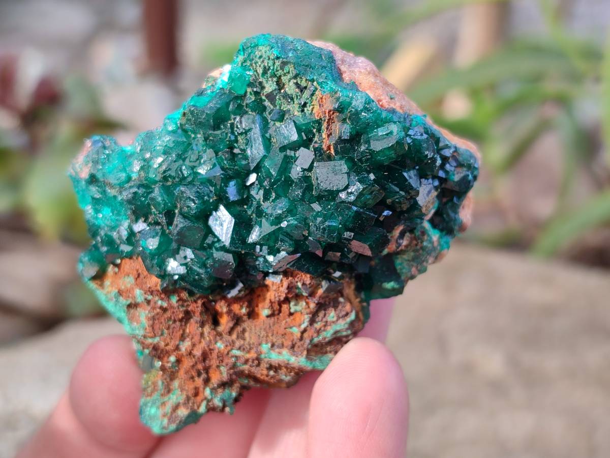 Natural Dioptase Crystals on Dolomite Matrix Specimens x 6 From Likasi, Congo - Toprock Gemstones and Minerals 