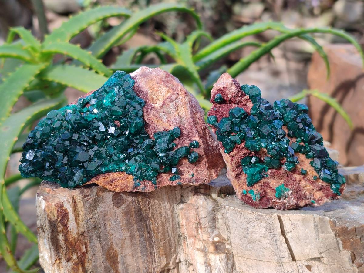 Natural Dioptase Crystals on Dolomite Matrix Specimens x 6 From Likasi, Congo - Toprock Gemstones and Minerals 
