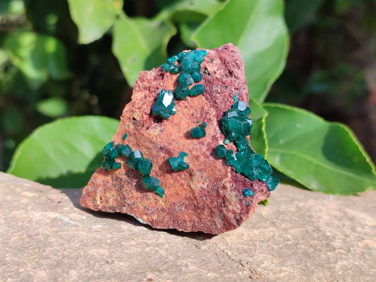 Natural Dioptase Crystals on Dolomite Matrix Specimens x 6 From Likasi, Congo - Toprock Gemstones and Minerals 