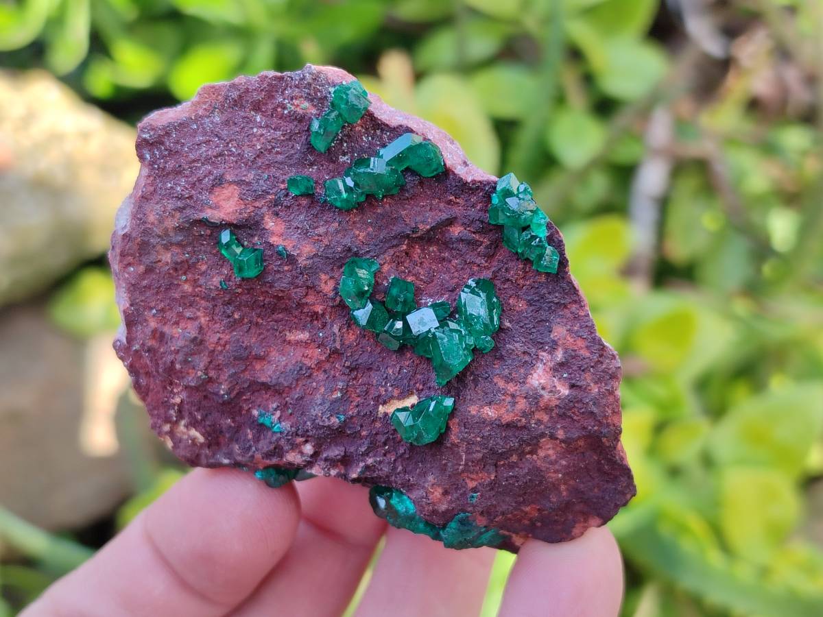 Natural Dioptase Crystals on Dolomite Matrix Specimens x 6 From Likasi, Congo - Toprock Gemstones and Minerals 