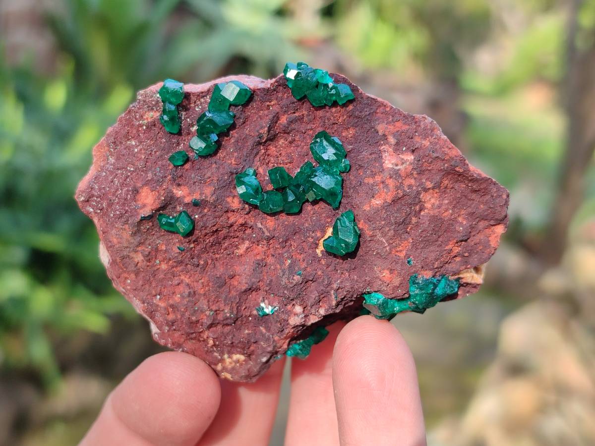 Natural Dioptase Crystals on Dolomite Matrix Specimens x 6 From Likasi, Congo - Toprock Gemstones and Minerals 
