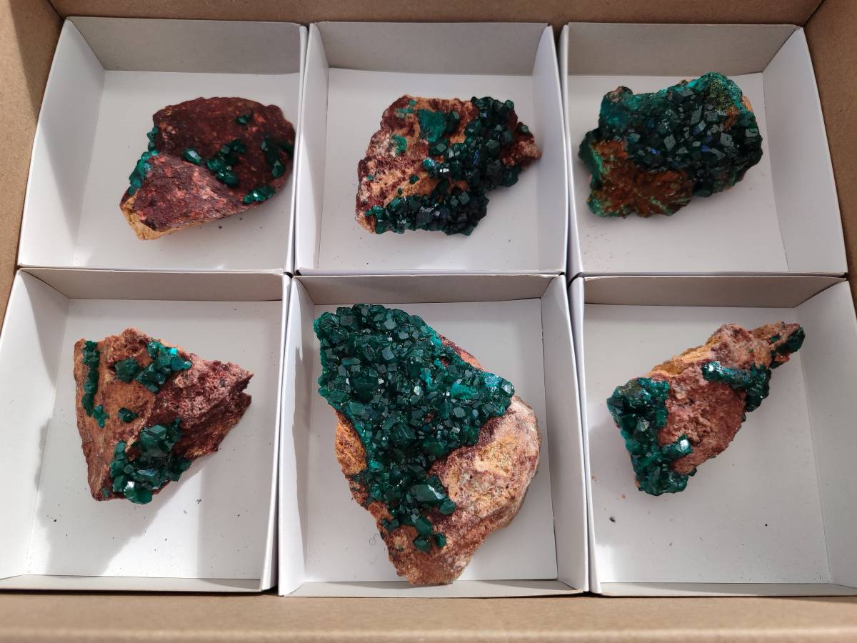 Natural Dioptase Crystals on Dolomite Matrix Specimens x 6 From Likasi, Congo - Toprock Gemstones and Minerals 