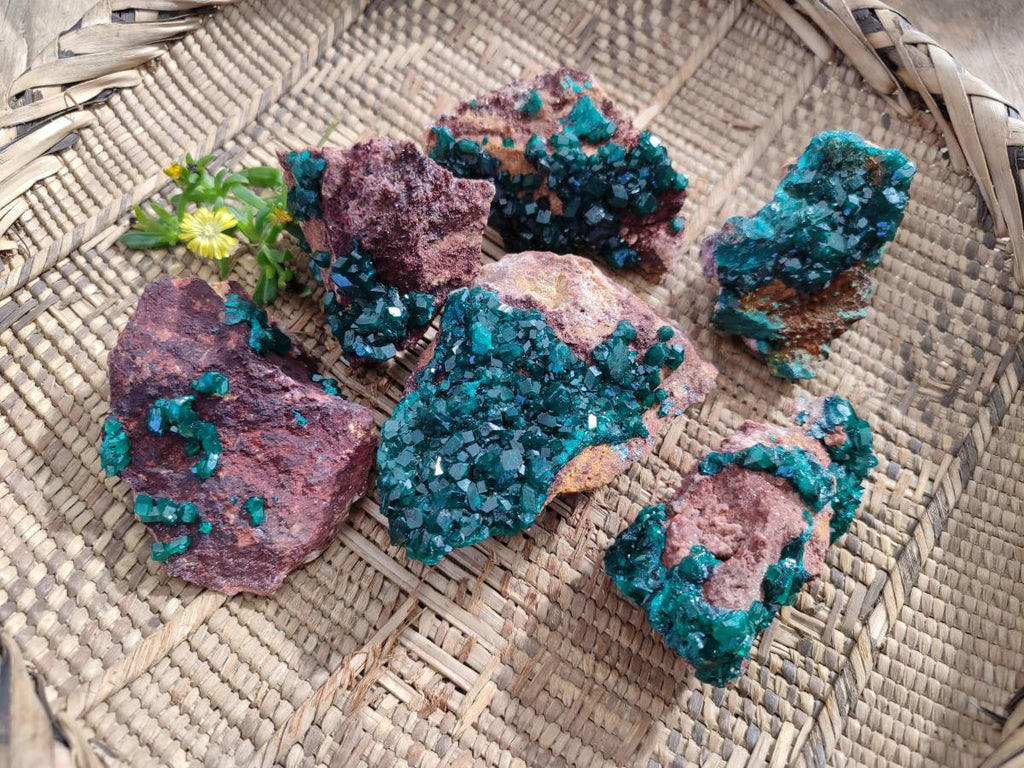 Natural Dioptase Crystals on Dolomite Matrix Specimens x 6 From Likasi, Congo - Toprock Gemstones and Minerals 