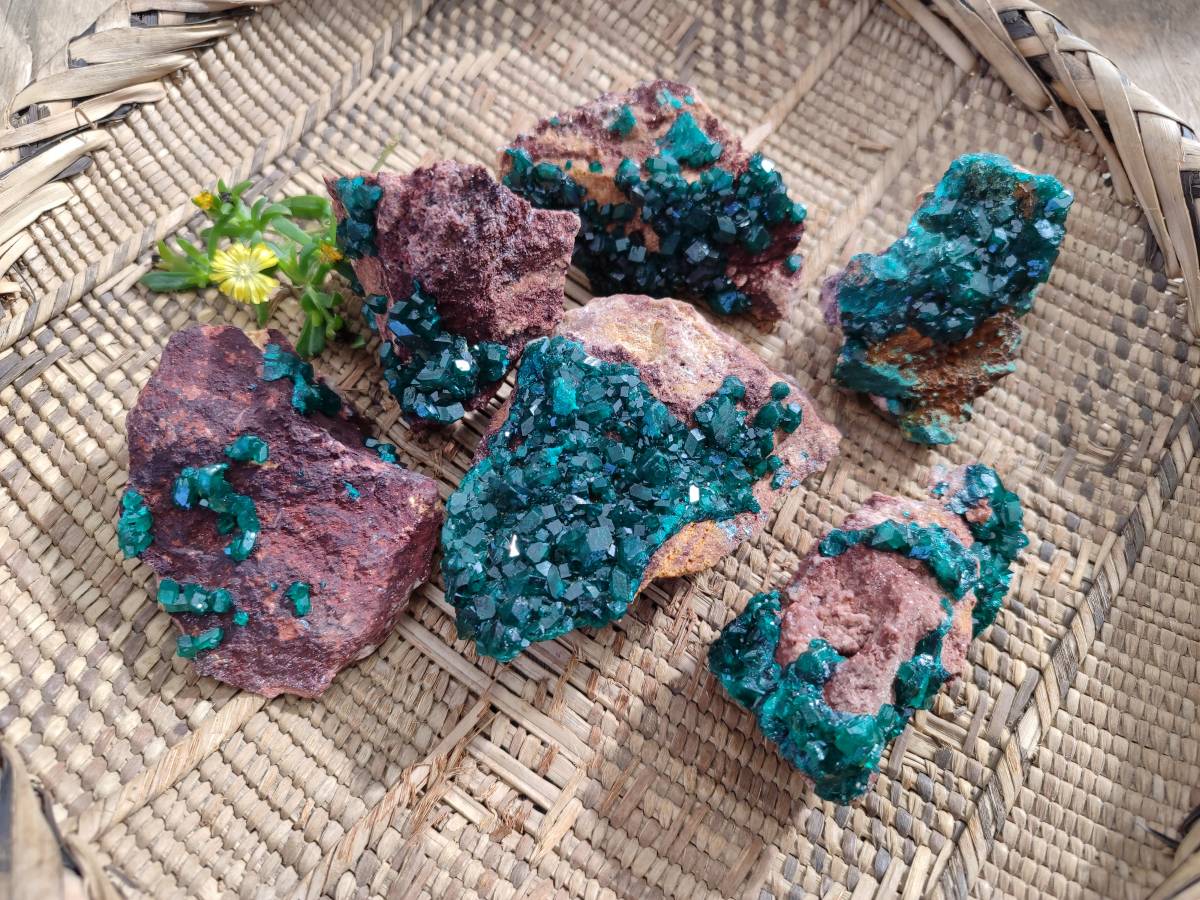 Natural Dioptase Crystals on Dolomite Matrix Specimens x 6 From Likasi, Congo - Toprock Gemstones and Minerals 