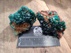 Natural Dioptase Crystals on Dolomite Matrix Specimens x 6 From Likasi, Congo - Toprock Gemstones and Minerals 