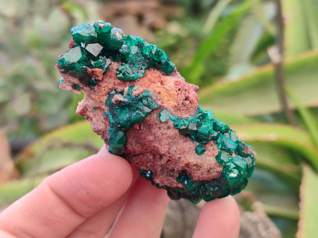 Natural Dioptase Crystals on Dolomite Matrix Specimens x 6 From Likasi, Congo - Toprock Gemstones and Minerals 