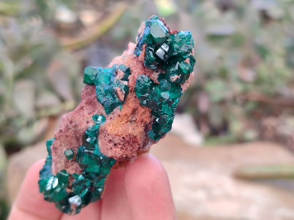 Natural Dioptase Crystals on Dolomite Matrix Specimens x 6 From Likasi, Congo - Toprock Gemstones and Minerals 