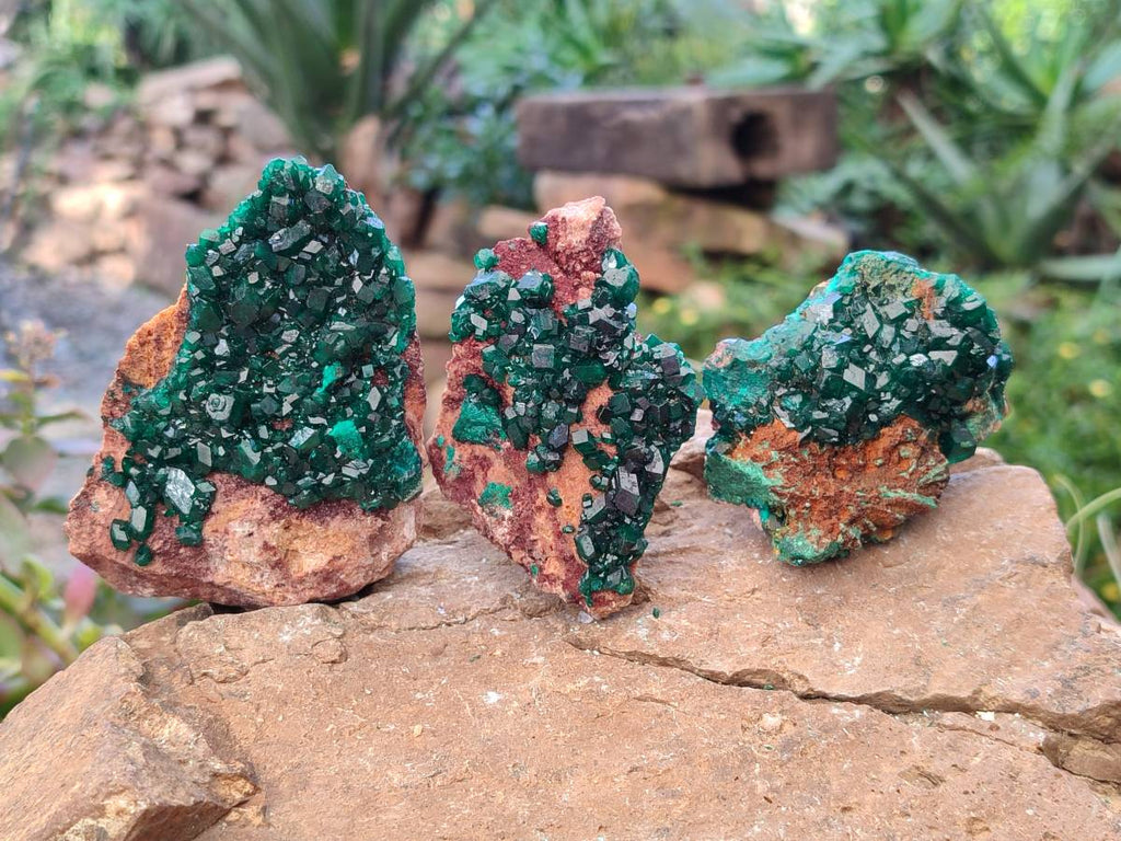 Natural Dioptase Crystals on Dolomite Matrix Specimens x 6 From Likasi, Congo - Toprock Gemstones and Minerals 