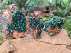 Natural Dioptase Crystals on Dolomite Matrix Specimens x 6 From Likasi, Congo - Toprock Gemstones and Minerals 