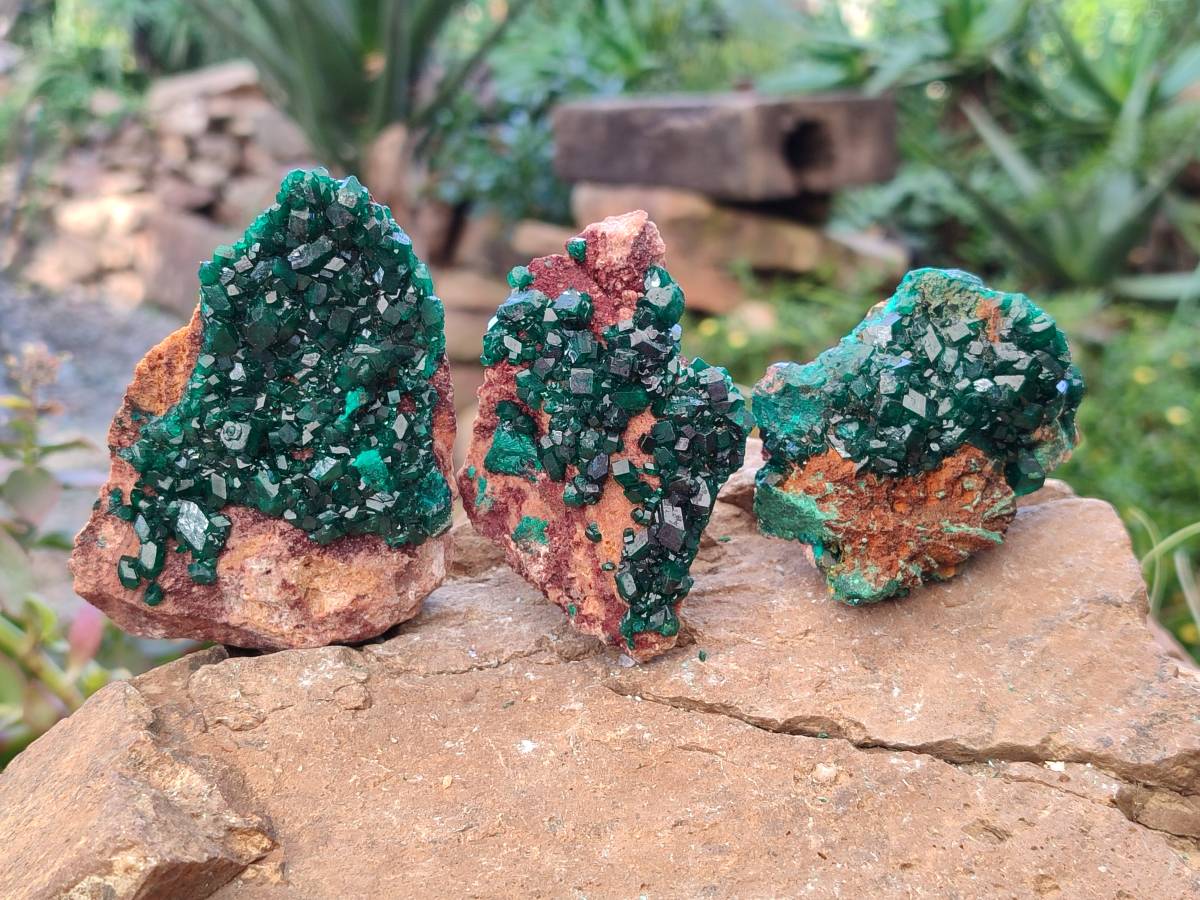 Natural Dioptase Crystals on Dolomite Matrix Specimens x 6 From Likasi, Congo - Toprock Gemstones and Minerals 
