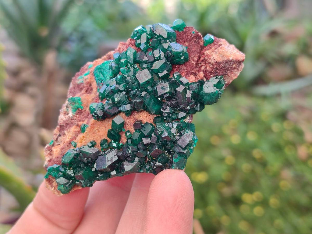 Natural Dioptase Crystals on Dolomite Matrix Specimens x 6 From Likasi, Congo - Toprock Gemstones and Minerals 