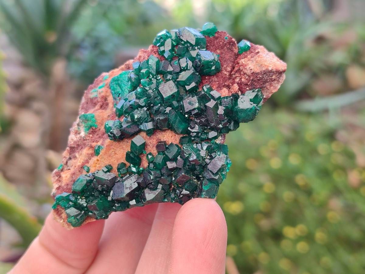 Natural Dioptase Crystals on Dolomite Matrix Specimens x 6 From Likasi, Congo - Toprock Gemstones and Minerals 