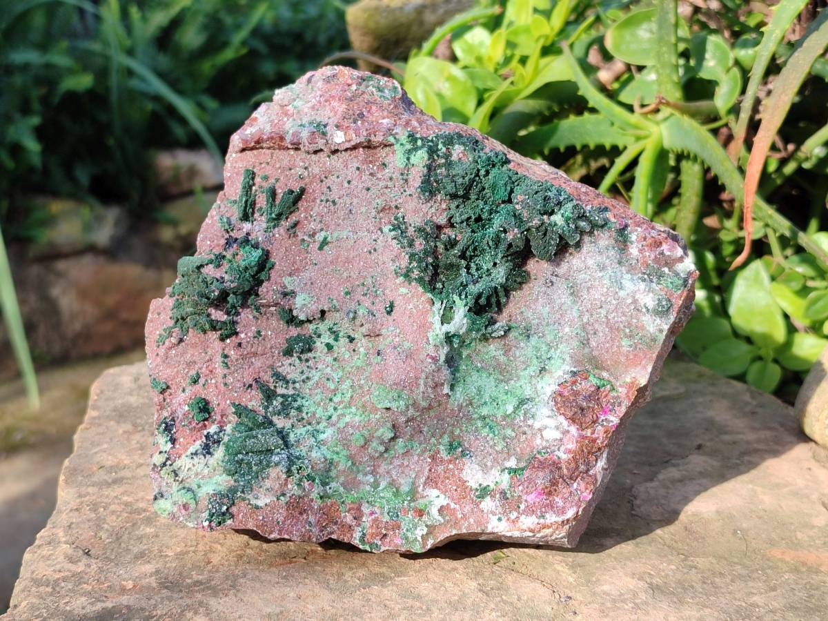 Natural XL Drusy Salrose With Crystalline Malachite and Duftite on Dolomite Matrix Cabinet Specimen x 1 From Kakanda, Congo - Toprock Gemstones and Minerals 