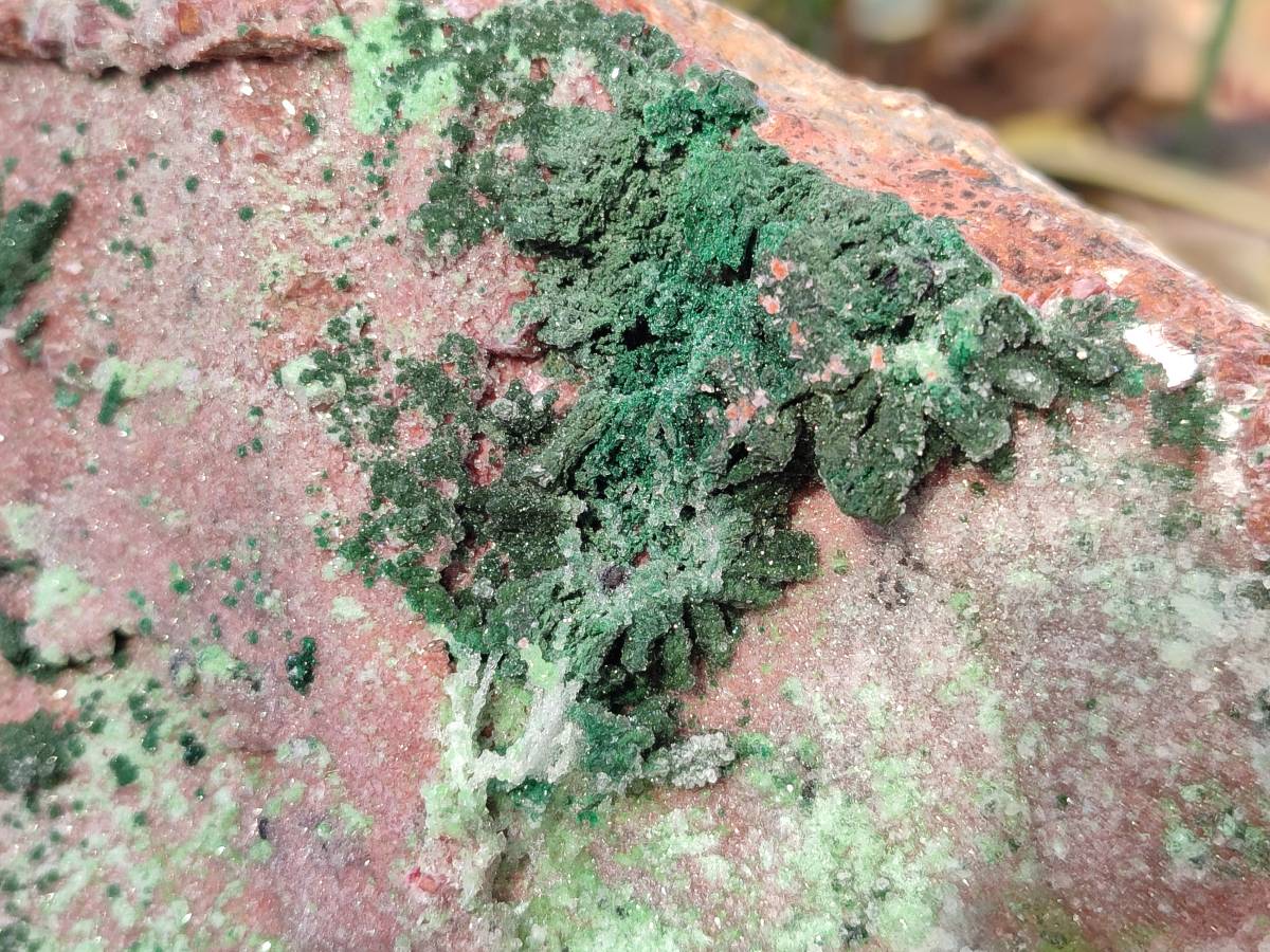 Natural XL Drusy Salrose With Crystalline Malachite and Duftite on Dolomite Matrix Cabinet Specimen x 1 From Kakanda, Congo - Toprock Gemstones and Minerals 