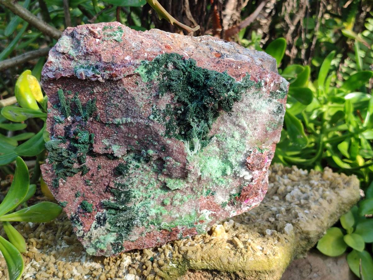 Natural XL Drusy Salrose With Crystalline Malachite and Duftite on Dolomite Matrix Cabinet Specimen x 1 From Kakanda, Congo - Toprock Gemstones and Minerals 