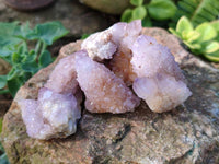 Natural Lilac Amethyst Spirit Quartz Clusters x 35 From Boekenhouthoek, South Africa - Toprock Gemstones and Minerals 