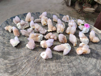 Natural Lilac Amethyst Spirit Quartz Clusters x 35 From Boekenhouthoek, South Africa - Toprock Gemstones and Minerals 